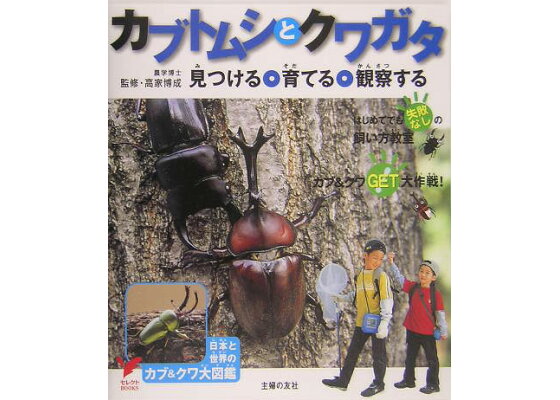 楽天ブックス カブトムシとクワガタ 見つける 育てる 観察する 主婦の友社 本 楽天ブックス カブトムシとクワガタ 見つける 育てる 観察する 主婦の友社 本